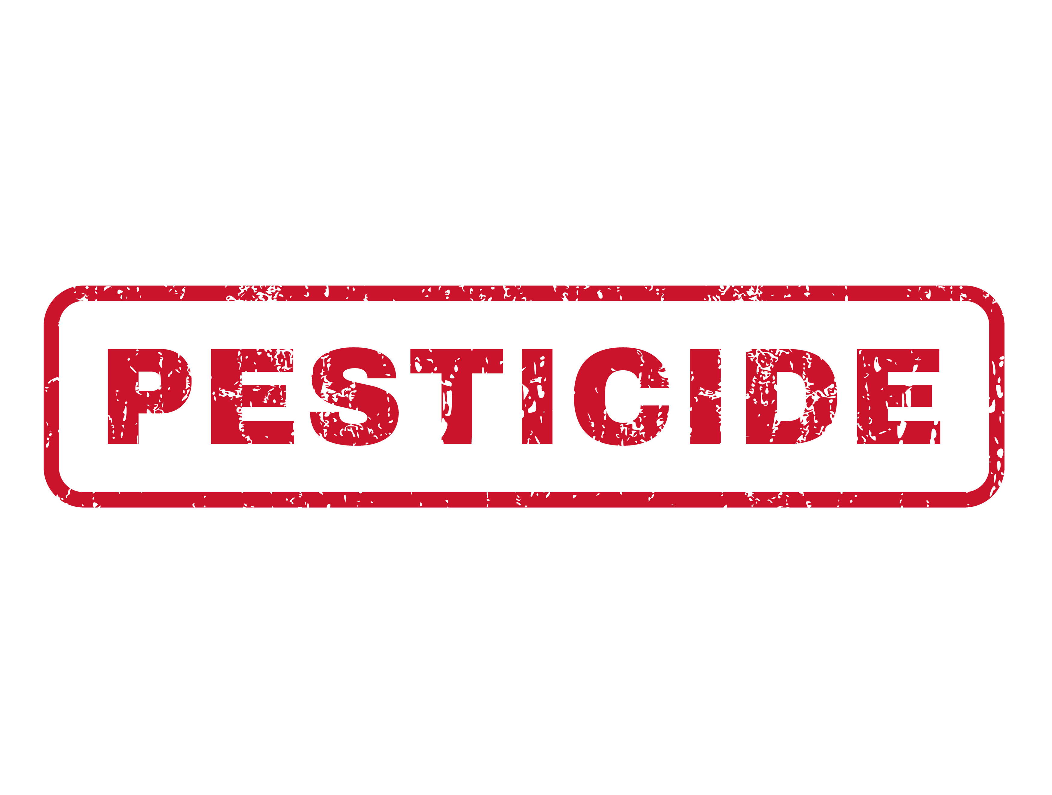Bed Bug Pesticide